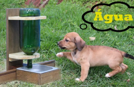 Bebedouro para cães e gatos