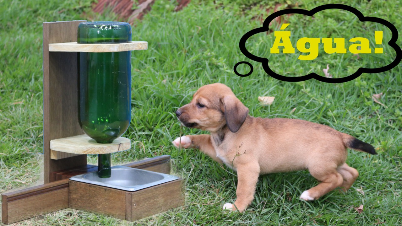 Bebedouro para cães e gatos