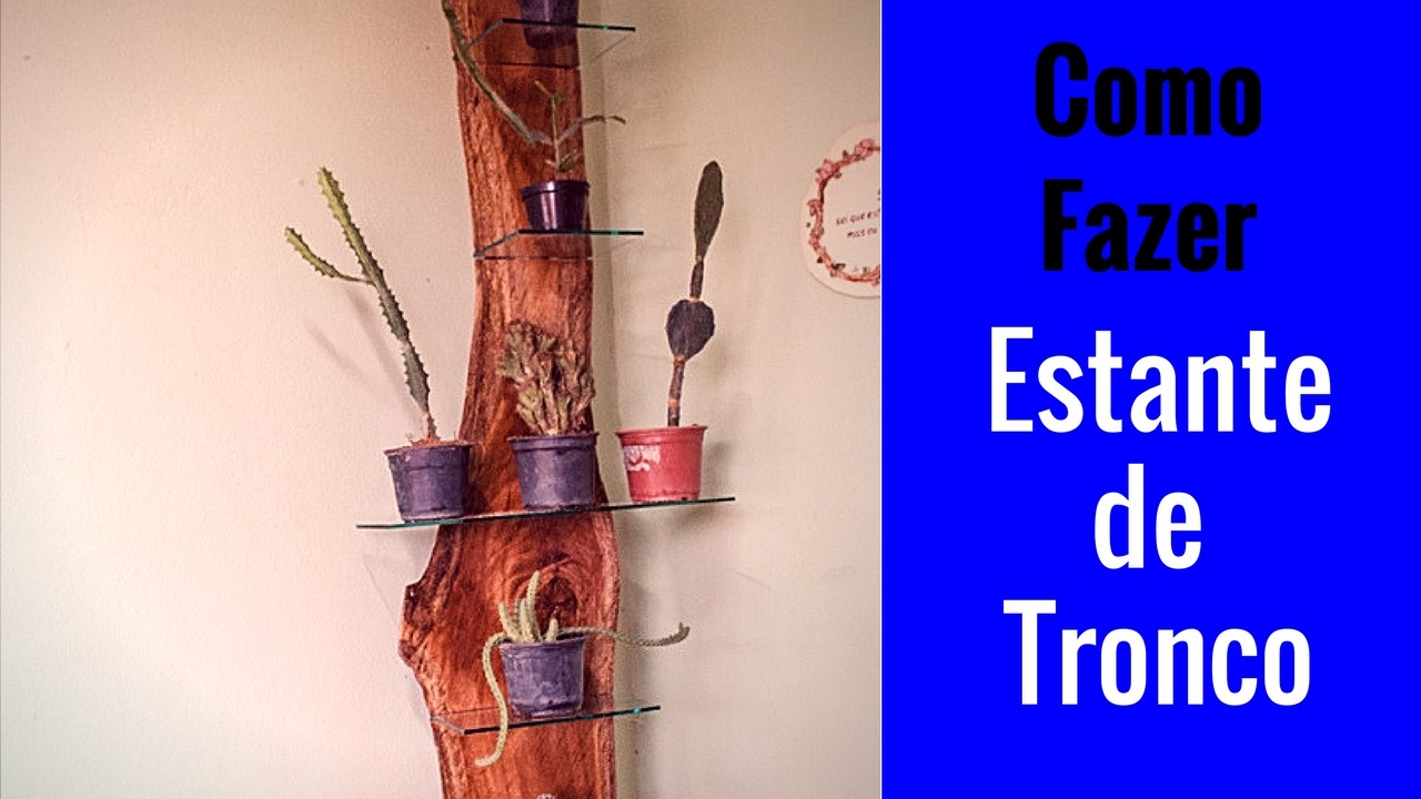 Estante de tronco para mini cactos