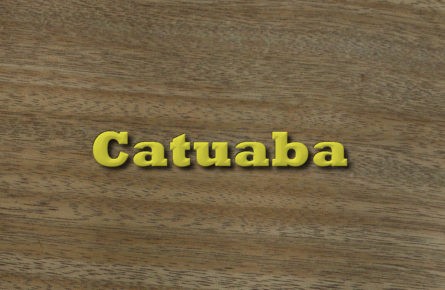 Catuaba