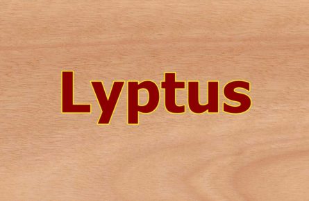 Lyptus a madeira nobre ecologicamente correta